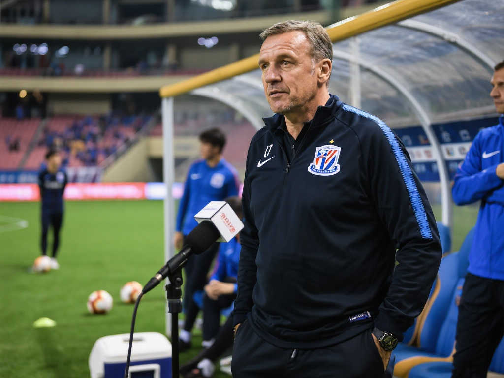 逐步跻身国 逐步跻身国